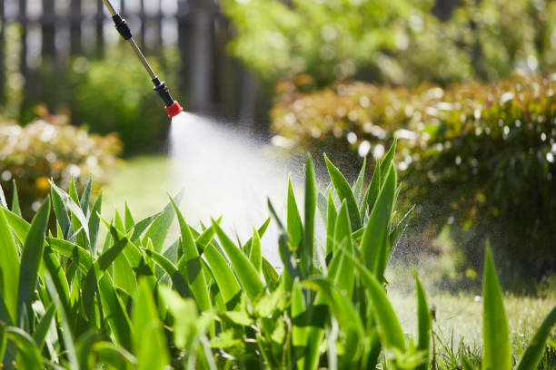 Tamper-Resistant Bait Stations for Rodents in Granger