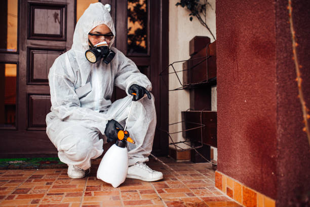 Attic and Crawl Space Rodent Treatment in Granger